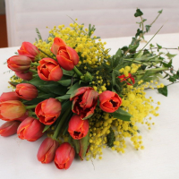 Bouquet tulipani colorati e mimosa -NON DISPONIBILE