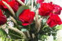 12 rose rosse