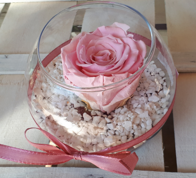 Rosa Stabilizzata in vasetto in vetro – Fiori Di Franca