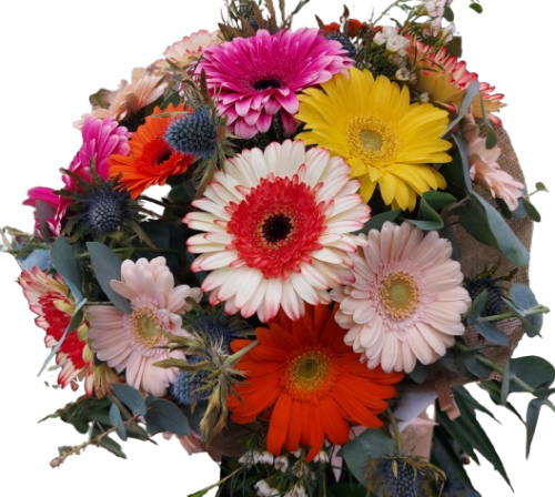 bouquet gerbere Bouquet joyful