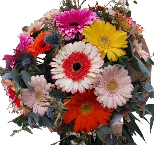 bouquet gerbere Bouquet joyful