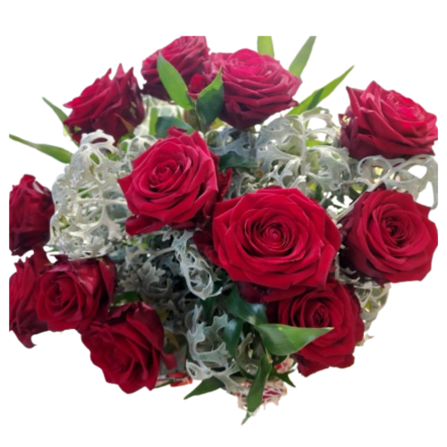 Rose rosse