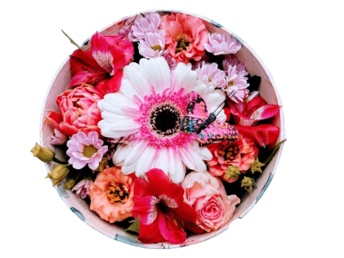 fiori in scatola Flower box