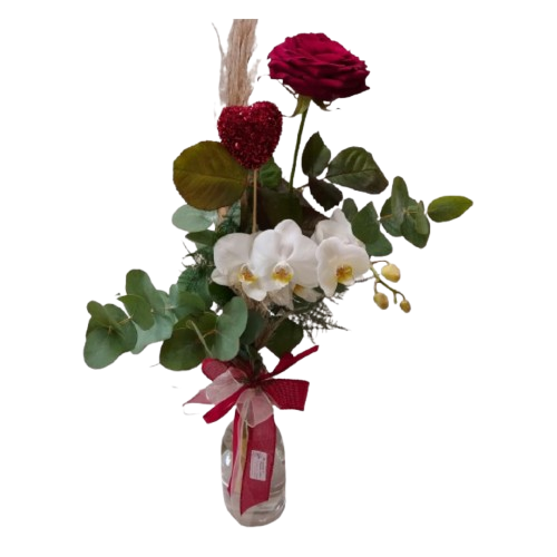 Rosa rossa in glass