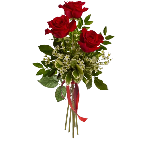 3 rose rosse Tre rose rosse