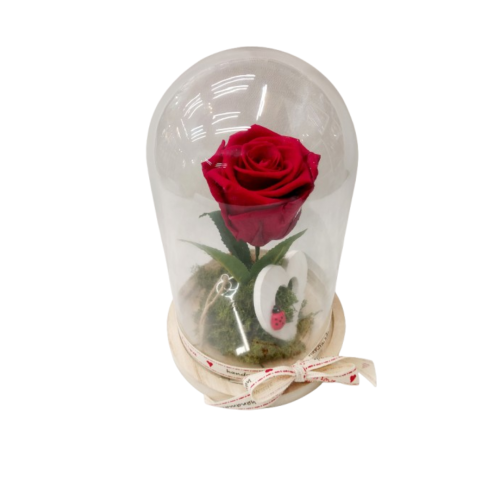 Rosa la Bella e la Bestia