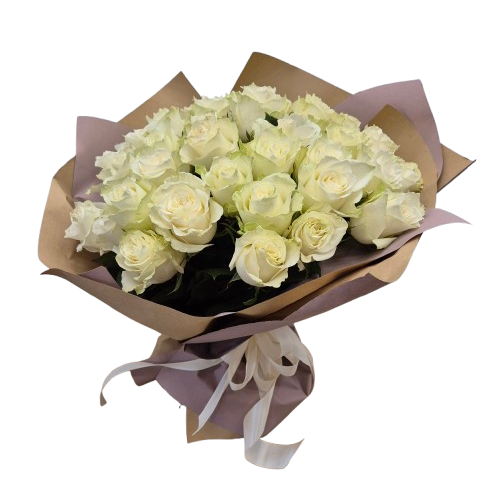 rose bianche Rose bianche