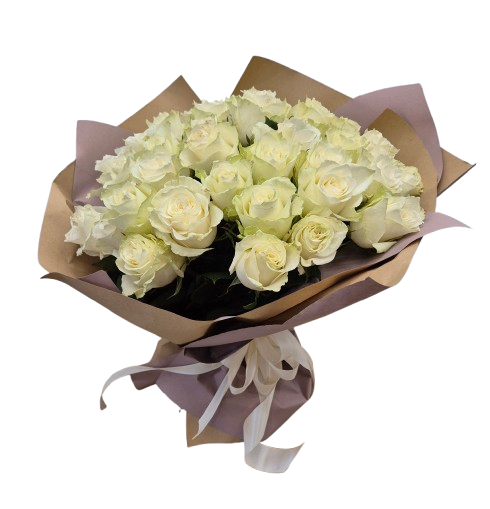 rose bianche Rose bianche