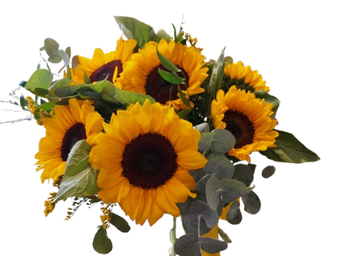 Bouquet girasoli