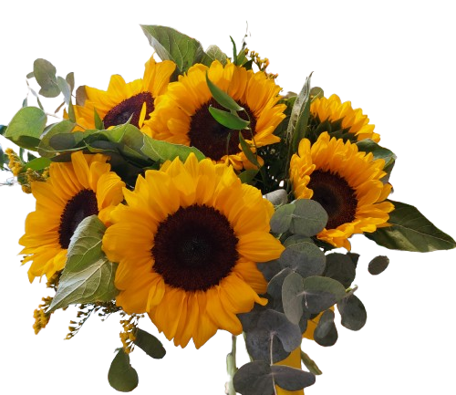 Bouquet girasoli